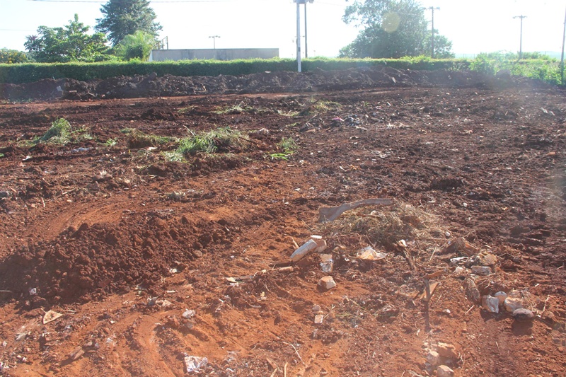 Meio Ambiente limpa e parceria vai arborizar Sarandi